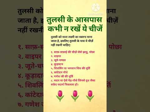 तुलसी के आसपास कभी न रखें ये चीजें। #tulsikeupay #tulsi #vastu #shorts #shortvideo