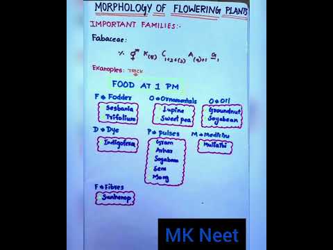 Morphology of flowering plants examples.Tricks.Part_5.Fabaceae family tricks.#neet #neet2022 #mkneet