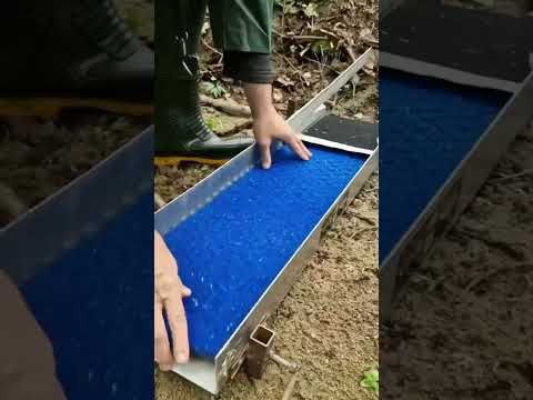 Filling the Sluice with GOLD 👌✨️ #goldmining  #gold  #goldmines  #sluice  #sluicebox