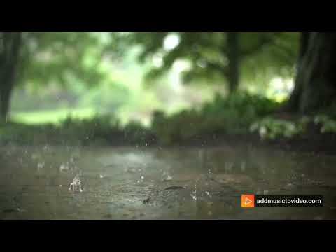 nature s own beauty#decrease your tension#just watch cool raining video#cool your mind#deep sleep