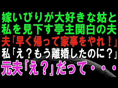【スカッとする話】嫁いびりが大好きな姑と私を見下す亭主関白夫「早く帰ってきて家事やれよ！」私「私たち離婚したしましたよ笑」→元同僚に協力してもらって復讐すると修羅場に！