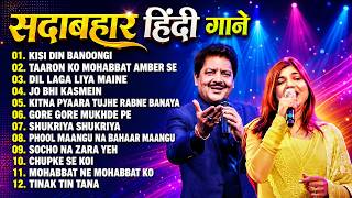 सदाबहार हिंदी गाने | Udit Narayan & Alka Yagnik Romantic Songs| 90s Love Songs | 90s Hits Hindi Song