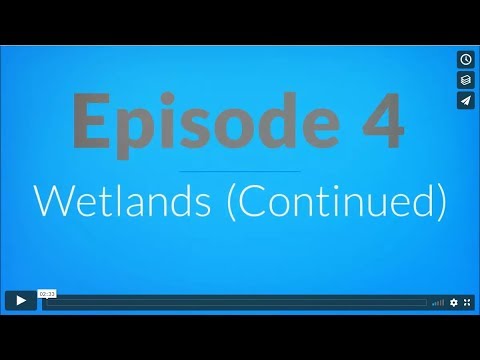 Water Education TV: Wetlands, Continued (Episode 4)