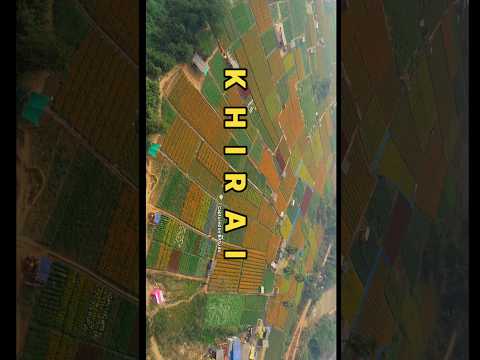 khirai flower velly2024//drone shots👆👆 #firstvlog #minivlog #shorts #khirai #khirai2024