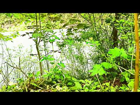 meditation for good mood and relaxation