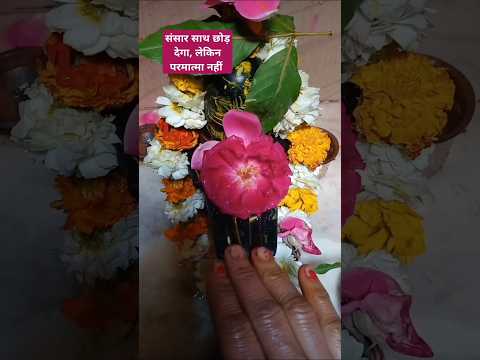 संसार साथ छोड़ देगा, लेकिन भगवान नहीं!#पंडितप्रदीपमिश्राजी #harharmahadev #viralvideo #shortvideo