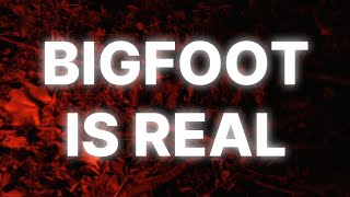 stand off with bigfoot