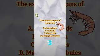 NEET PYQ Series 🔥 | Important NCERT MCQ for NEET Aspirants