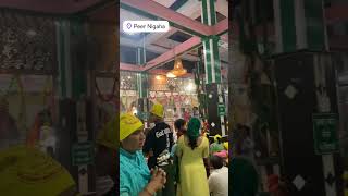 VEERVAAR DE DARSHAN #peer_nigahe_wala786 #lakhdatapeer #peernigaha #una #himachal #veervaar #peerji