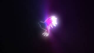 CODE 207-(STANDARD plan)