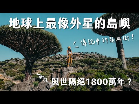 終於見到傳說中的龍血樹！地球上最像外星的小島 - 葉門 Socotra Island Vlog