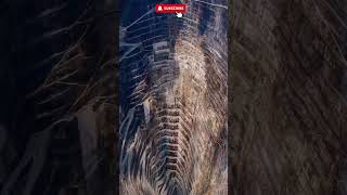Worlds Deepest Gold Mine