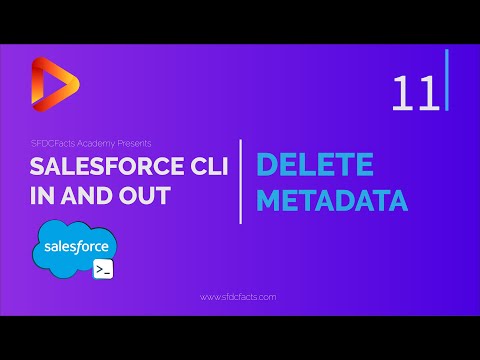 Delete Metadata Using CLI | SFDX and Salesforce CLI Course