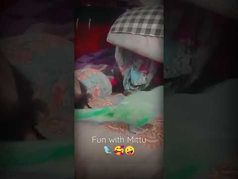 Fun with My Pet 🐦