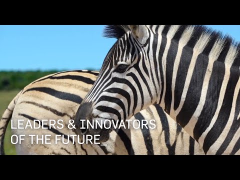 Designed To Make Your Child Future Ready  | Animal Planet | Cypher Coders