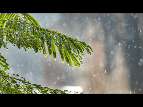 Soothing and relaxing music for stress relief, sleep, study and meditation