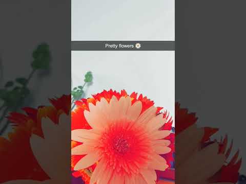 #short #youtubeshorts #viralshorts #trending #flowers
