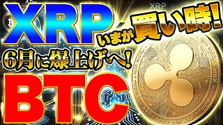 【仮想通貨】【緊急速報】XRP今が買い時か？🚨 ビットコインは6月に爆上げ確定（BTC、XRP、リップル）