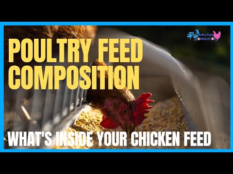 Poultry Feed Composition: What's Inside In Your Chicken Feed?
