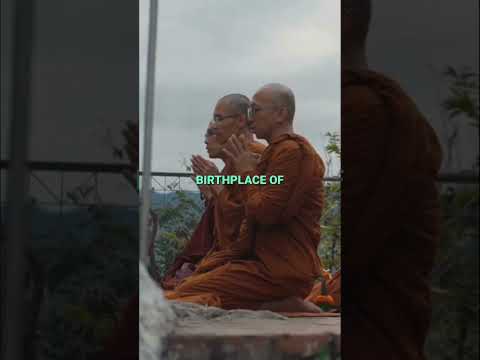Discover Koyasan  Japan's Spiritual Mountain Hub
