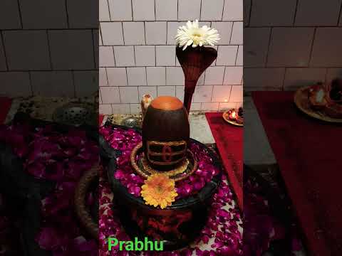 new WhatsApp video status #love #music #religion #shortvideo #shiv #youtubeshorts #youtube