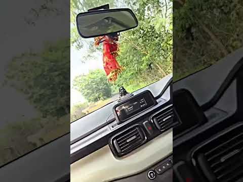 #townvlogs #village #vlog