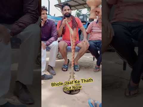 Bhole Jaat Ke Thath #gathjoda #shorts #bhola #haryanvisong #trendingshorts #bholenath