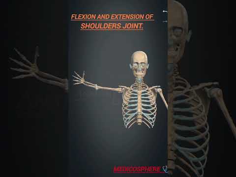 flexion and extension of the shoulders and elbows joint.#viral #shorts #medicosphere#3d #medical