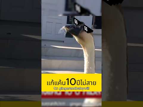 แก้แค้น 10 ปี ยังไม่สาย!!