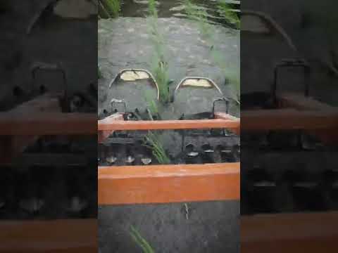 RICE475 - 力強く押して、雑草をかき出します🌱