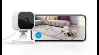 blink mini camera outdoor review | 1080 HD video, motion detection, Works with Alexa