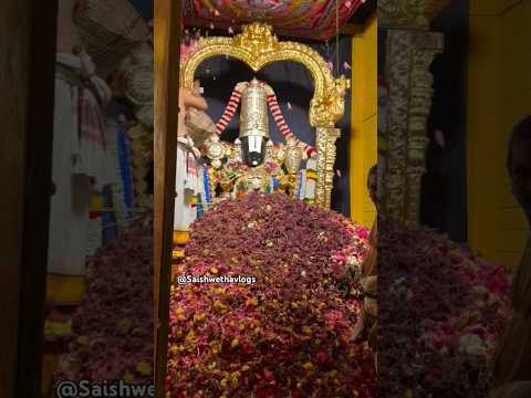 🙏Srinivasa govinda 🙏#tirupati #govinda #venkatesh #youtube #srinivasagod #new #trending