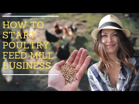 How to Start Poultry Feed Business (HD Quality)