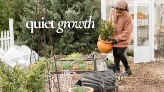 February in the garden feels like a new beginning