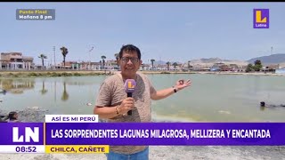 LAS LAGUNAS DE CHILCA