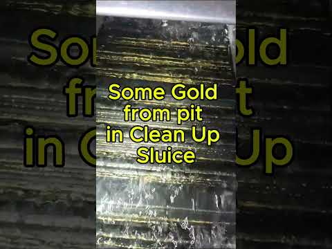 This Hand Dug Pit Delivered the Gold