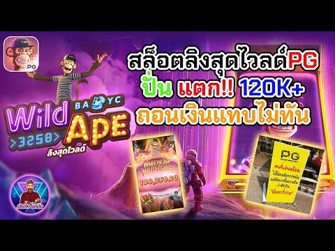 สล็อตลิงสุดไวลด์ PG แตก!! 120K+ ถอนเงินแทบไม่ทัน│เกม ลิงสุดไวลด์ [Wild Ape] ➤[PG] #เฮียสักนักปั่น