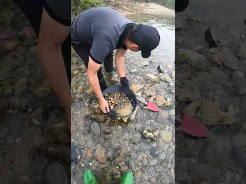 Unbelievable Gold Strike Worth a Fortune! You Won’t Believe What I Unearthed! #gold #camping