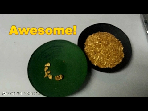 A gold miners surprise!