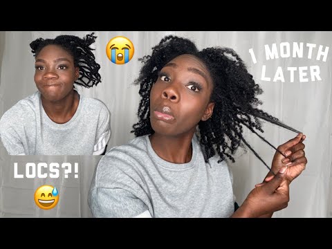 Taking Out 1 Month Old Mini Twist + MINI-TWIST Q&A