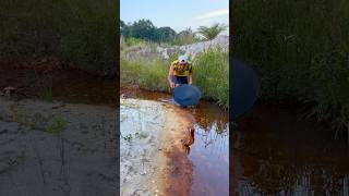 Unique ways to find gold | process of finding gold | discovery of gold nugget #goldmining #gold