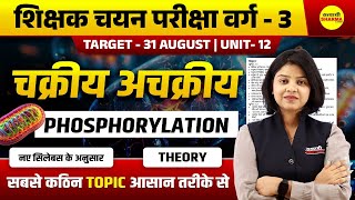 PHOSPHORYLATION, VARG - 3 2025 NOTIFICATION | MPTET VARG-3 2025 VACANCY | MPTET VARG 3 2025