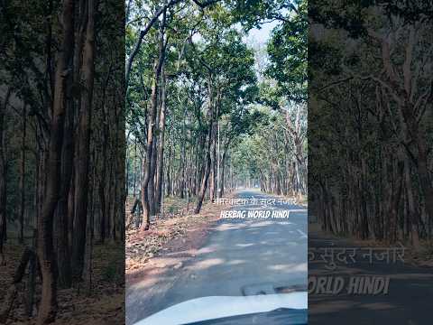 Amarkantak sundar najare#trending #5milon #nature #300million #youtubeshorts