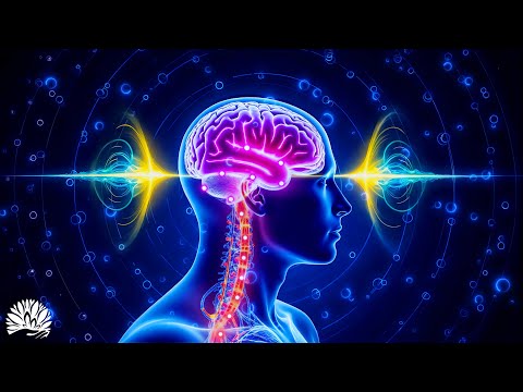 Alpha Waves Heal Damage in the Body | Comprehensive Neural Restoration | DNA Repair, Stress Relief