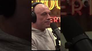 Joe Rogan: The Largest Ape That Ever Lived!