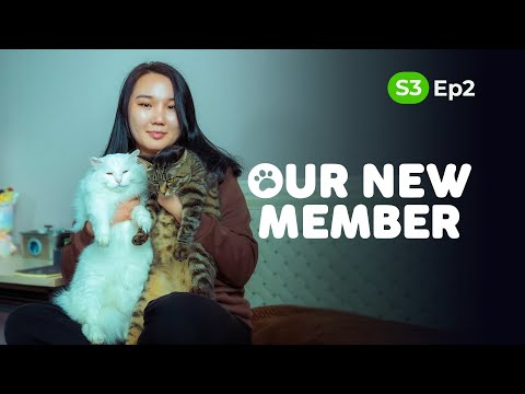 Momentomoon | Our New Member | Season 3