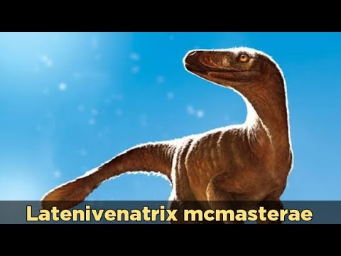 Todo sobre Latenivenatrix mcmasterae