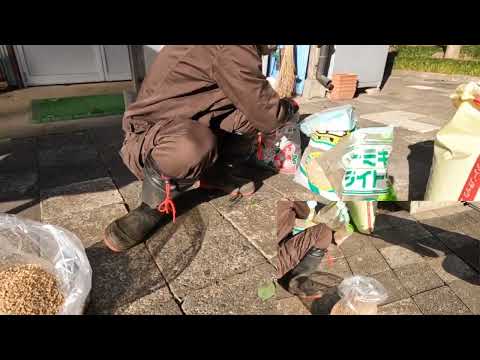 【栽培基礎講座】土作り
