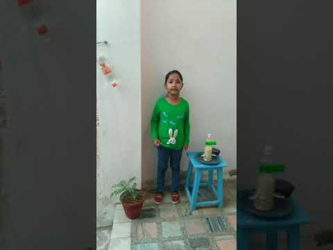 kids contribution to environment with the help of waste materials,project for save environment