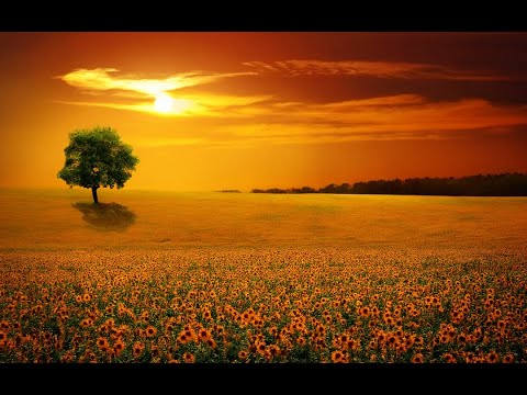 SETTINGS FOR SUNRISE TE